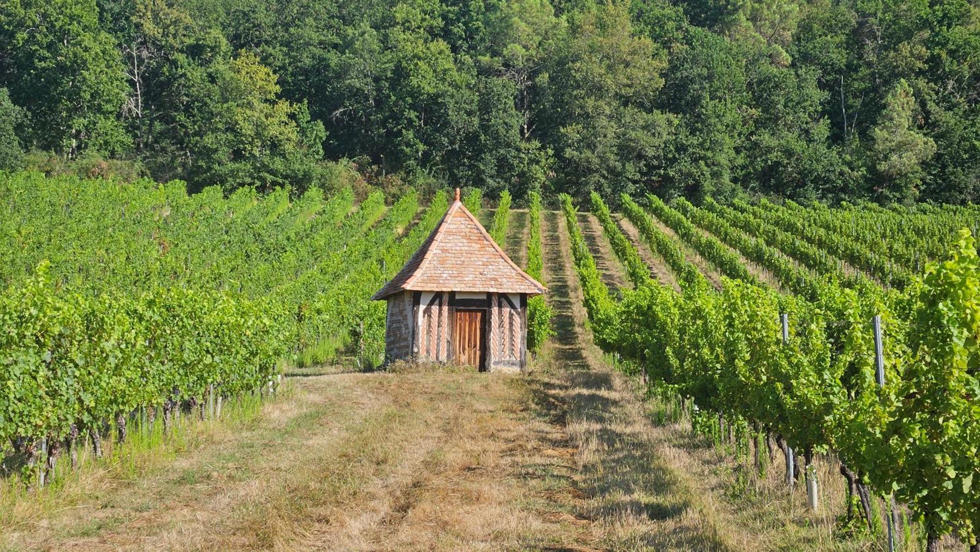 Chambres Et Gites Les Deux Chenes Pres De Bergerac Le Fleix Eksteriør billede