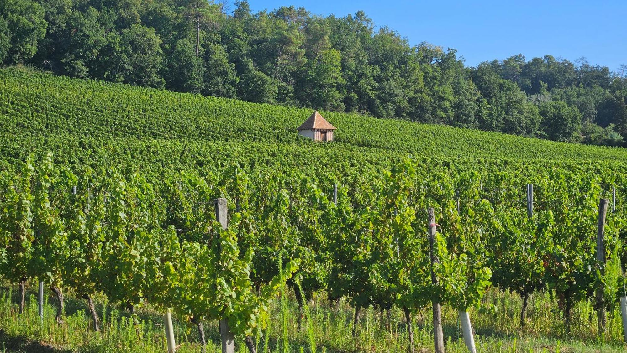 Chambres Et Gites Les Deux Chenes Pres De Bergerac Le Fleix Eksteriør billede