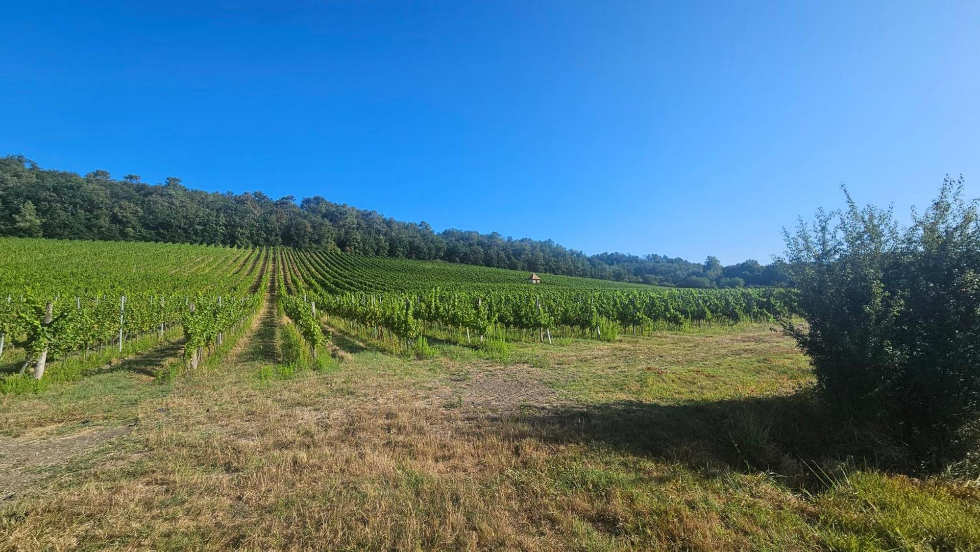 Chambres Et Gites Les Deux Chenes Pres De Bergerac Le Fleix Eksteriør billede